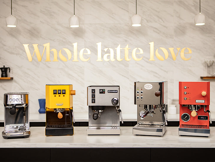 Breville BES500BSS Bambino Plus – Whole Latte Love