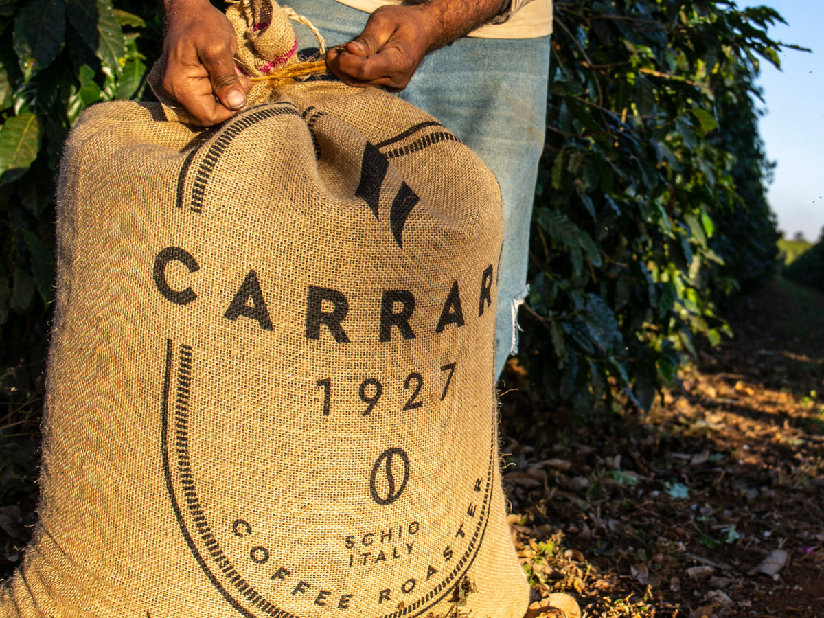 Carraro Globo Elite Coffee Beans, 2.2 lbs (1 kg) – Authentic