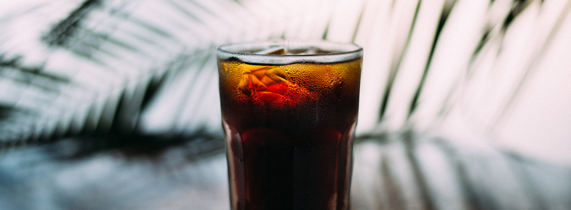 Everything You Need to Know About Iced Coffee, Espresso, and Cold Brew –  Whole Latte Love