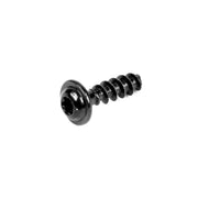 Black Torx Screw