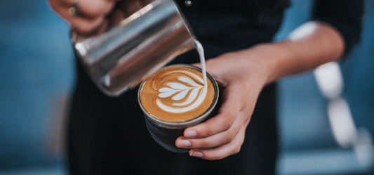 Baratza Encore Coffee Grinder – Whole Latte Love